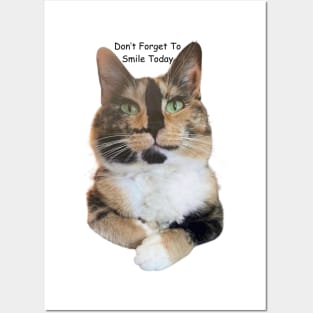 Snickers The Smiling Cat Posters and Art